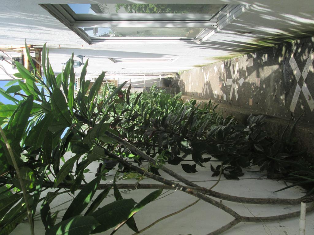 Hostal Poseidon Del Mar San Andrés Exteriör bild